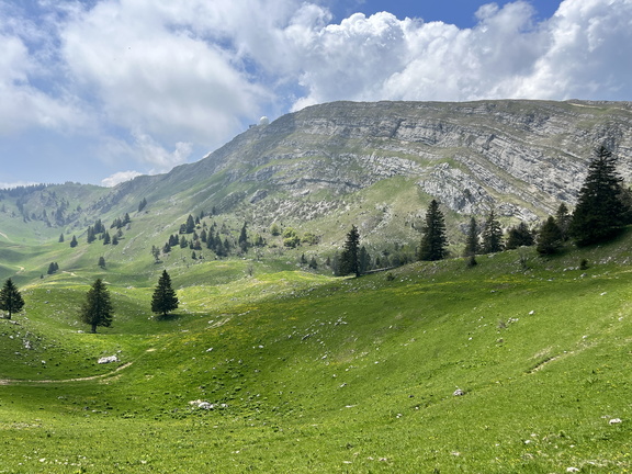 23-05-26 13-20-19 5696